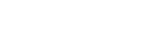 Penguin King